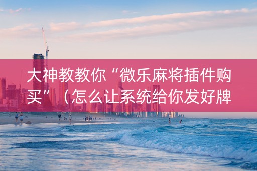 大神教教你“微乐麻将插件购买”（怎么让系统给你发好牌)