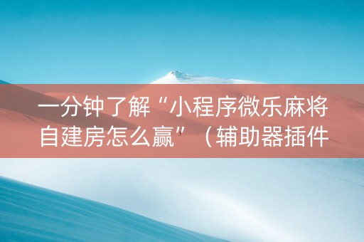 一分钟了解“小程序微乐麻将自建房怎么赢”（辅助器插件)