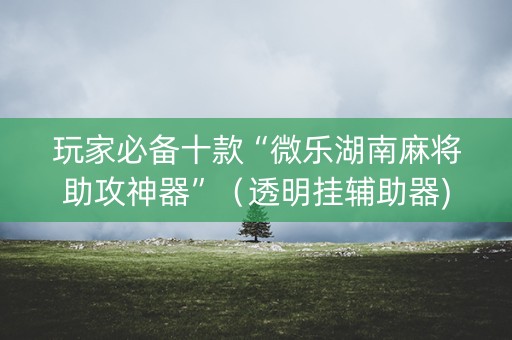 玩家必备十款“微乐湖南麻将助攻神器”（透明挂辅助器)