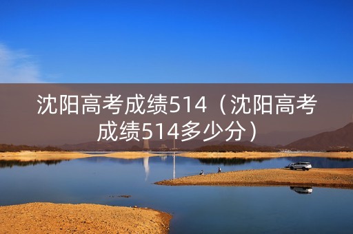 沈阳高考成绩514（沈阳高考成绩514多少分）