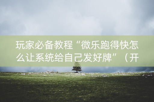 玩家必备教程“微乐跑得快怎么让系统给自己发好牌”（开挂辅助器脚本)