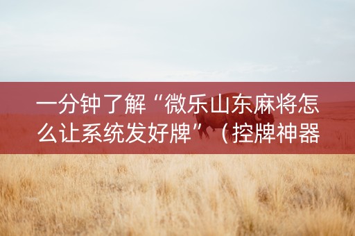 一分钟了解“微乐山东麻将怎么让系统发好牌”（控牌神器)