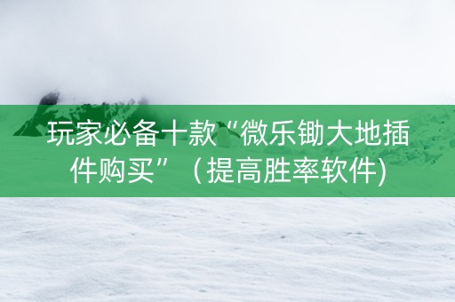 玩家必备十款“微乐锄大地插件购买”（提高胜率软件)