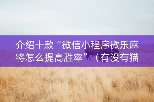 介绍十款“微信小程序微乐麻将怎么提高胜率”（有没有猫腻)