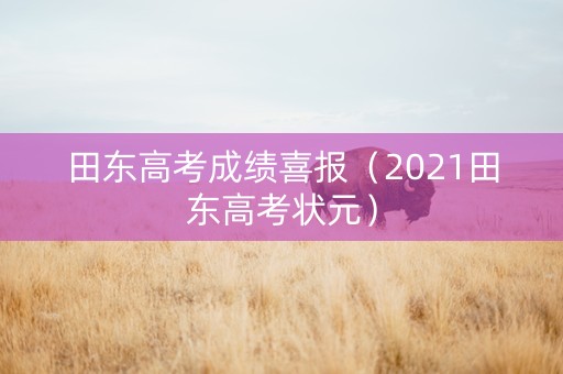 田东高考成绩喜报（2021田东高考状元）