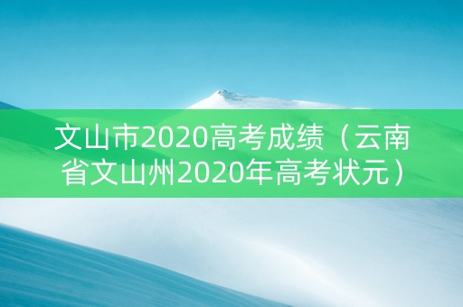 文山市2020高考成绩（云南省文山州2020年高考状元）