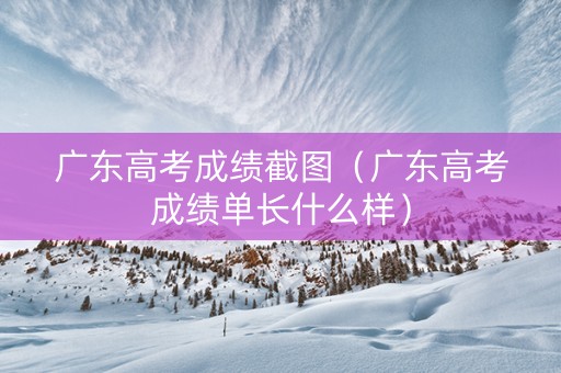 广东高考成绩截图（广东高考成绩单长什么样）