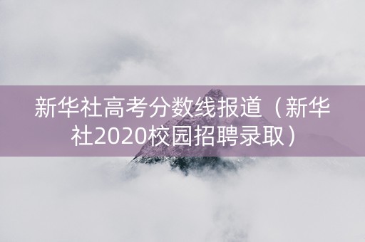 新华社高考分数线报道（新华社2020校园招聘录取）