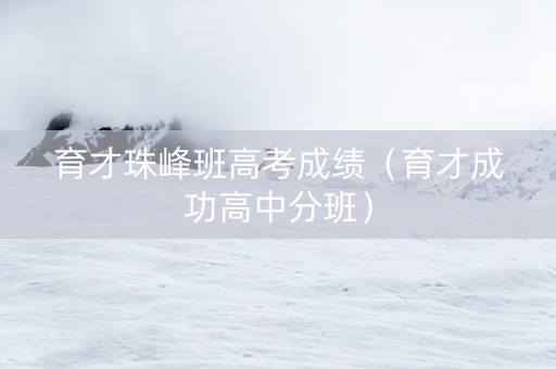 育才珠峰班高考成绩（育才成功高中分班）