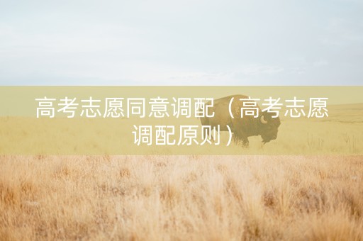 高考志愿同意调配（高考志愿调配原则）