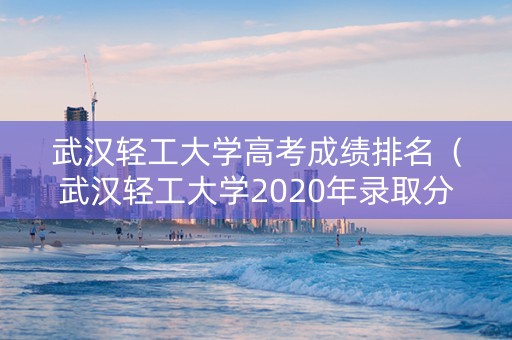 武汉轻工大学高考成绩排名（武汉轻工大学2020年录取分数线是多少）