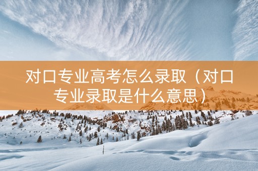 对口专业高考怎么录取（对口专业录取是什么意思）