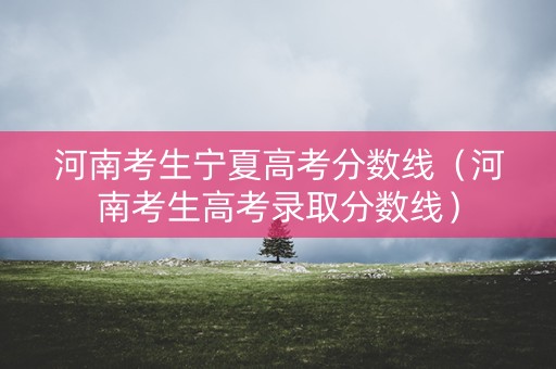 河南考生宁夏高考分数线（河南考生高考录取分数线）