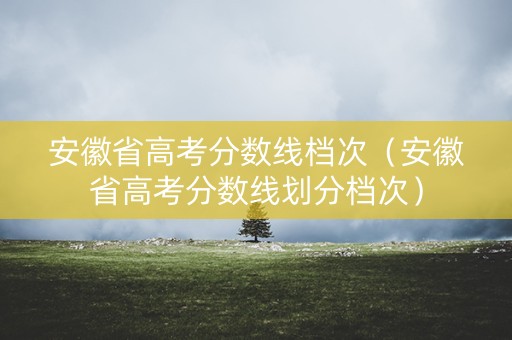 安徽省高考分数线档次（安徽省高考分数线划分档次）