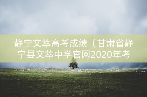 静宁文萃高考成绩（甘肃省静宁县文萃中学官网2020年考试题）