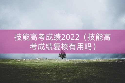 技能高考成绩2022（技能高考成绩复核有用吗）