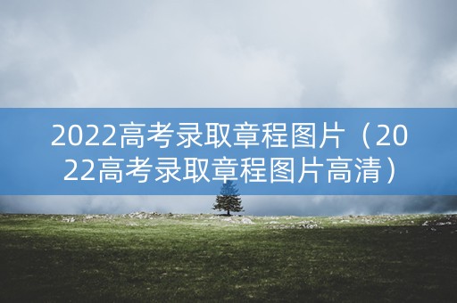 2022高考录取章程图片（2022高考录取章程图片高清）