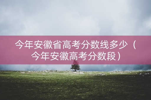 今年安徽省高考分数线多少（今年安徽高考分数段）