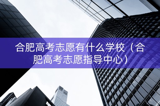 合肥高考志愿有什么学校（合肥高考志愿指导中心）