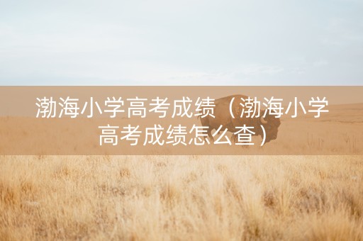 渤海小学高考成绩（渤海小学高考成绩怎么查）