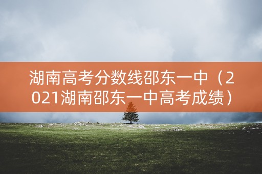 湖南高考分数线邵东一中（2021湖南邵东一中高考成绩）