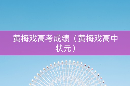 黄梅戏高考成绩（黄梅戏高中状元）