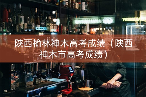 陕西榆林神木高考成绩（陕西神木市高考成绩）