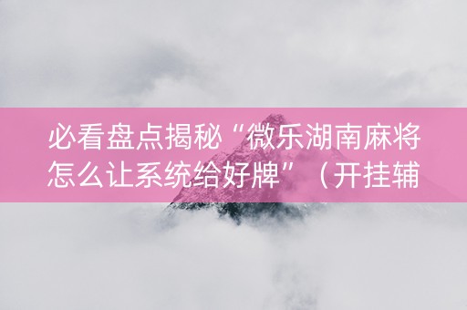 必看盘点揭秘“微乐湖南麻将怎么让系统给好牌”（开挂辅助脚本)