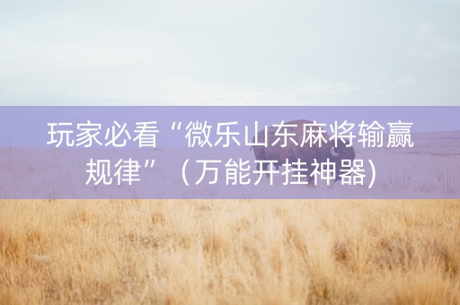 玩家必看“微乐山东麻将输赢规律”（万能开挂神器)