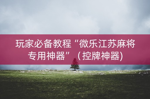 玩家必备教程“微乐江苏麻将专用神器”（控牌神器)