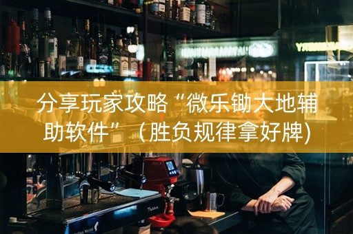 分享玩家攻略“微乐锄大地辅助软件”（胜负规律拿好牌)