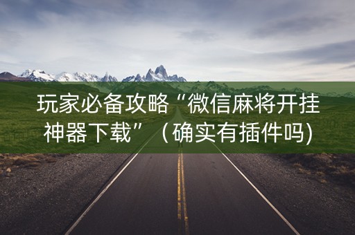 玩家必备攻略“微信麻将开挂神器下载”（确实有插件吗)
