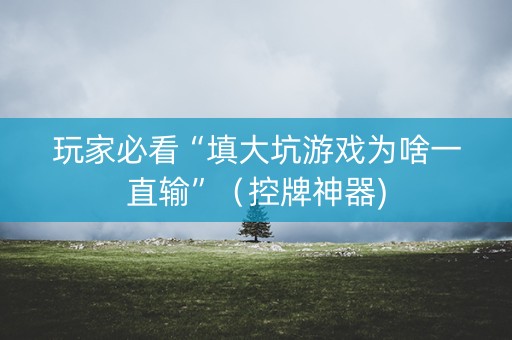 玩家必看“填大坑游戏为啥一直输”（控牌神器)