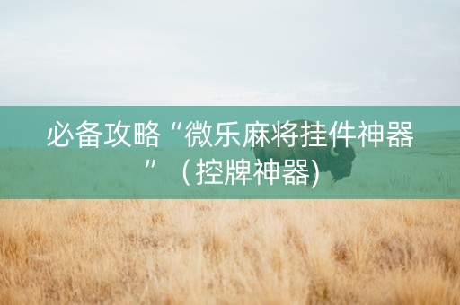 必备攻略“微乐麻将挂件神器”（控牌神器)