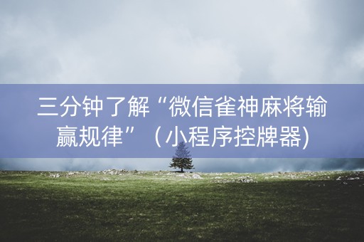 三分钟了解“微信雀神麻将输赢规律”（小程序控牌器)