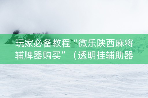 玩家必备教程“微乐陕西麻将辅牌器购买”（透明挂辅助器)