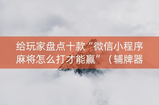 给玩家盘点十款“微信小程序麻将怎么打才能赢”（辅牌器插件购买)