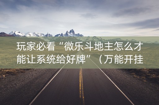 玩家必看“微乐斗地主怎么才能让系统给好牌”（万能开挂器)