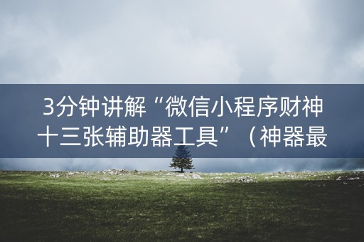 3分钟讲解“微信小程序财神十三张辅助器工具”（神器最新免费)