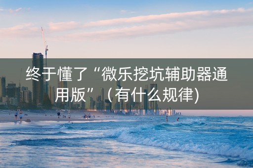 终于懂了“微乐挖坑辅助器通用版”（有什么规律)