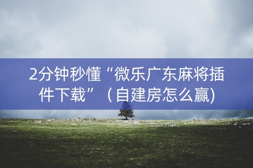 2分钟秒懂“微乐广东麻将插件下载”（自建房怎么赢)
