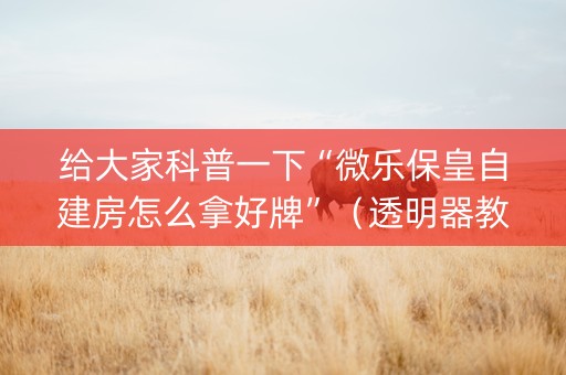 给大家科普一下“微乐保皇自建房怎么拿好牌”（透明器教程)