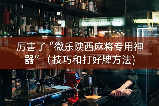 厉害了“微乐陕西麻将专用神器”（技巧和打好牌方法)