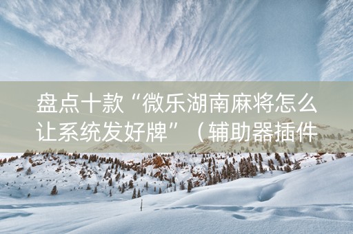 盘点十款“微乐湖南麻将怎么让系统发好牌”（辅助器插件)