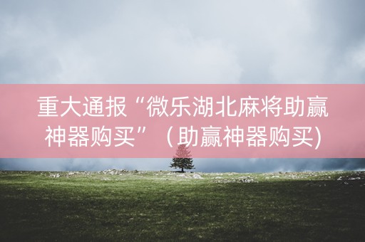 重大通报“微乐湖北麻将助赢神器购买”（助赢神器购买)