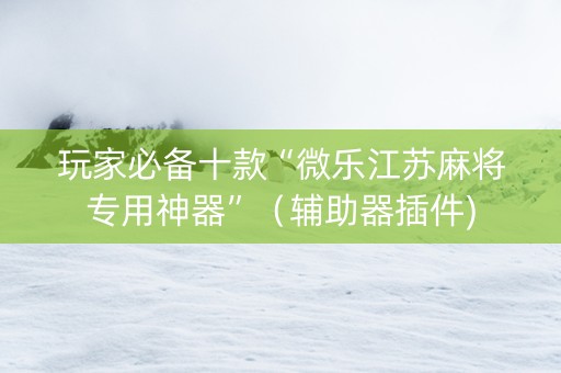 玩家必备十款“微乐江苏麻将专用神器”（辅助器插件)