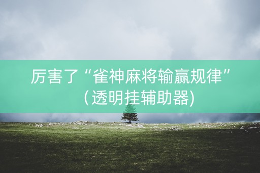 厉害了“雀神麻将输赢规律”（透明挂辅助器)