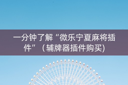 一分钟了解“微乐宁夏麻将插件”（辅牌器插件购买)
