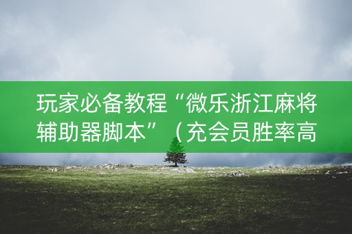 玩家必备教程“微乐浙江麻将辅助器脚本”（充会员胜率高)