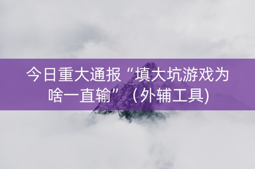 今日重大通报“填大坑游戏为啥一直输”（外辅工具)
